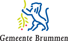 Gemeente Brummen logo